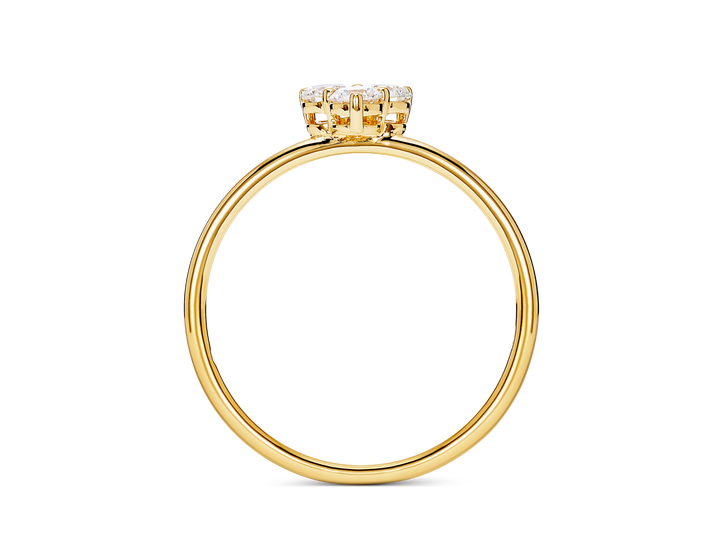 Fashion Ring